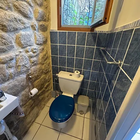 Le Bijou Bleu - A Cosy French With Great Wifi ! Saint-Saud-Lacoussière